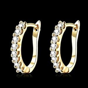 The Icon Pretty 14k Gold plated hoop earrings